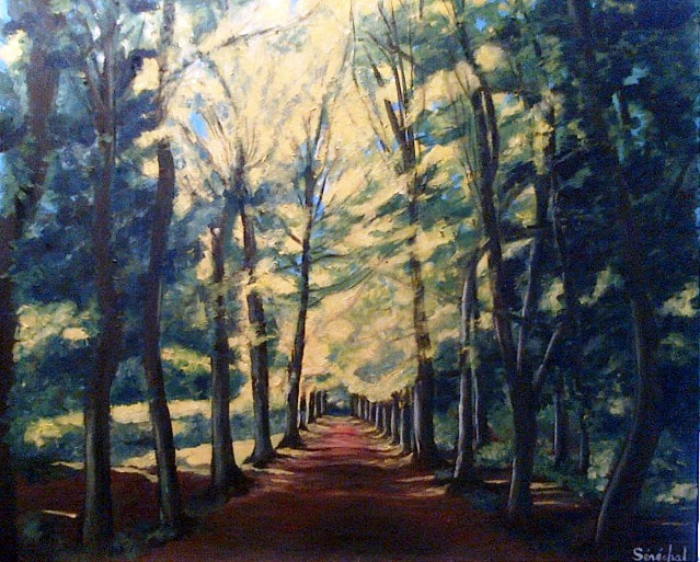 Forêt d’Oz — Catherine Sénéchal